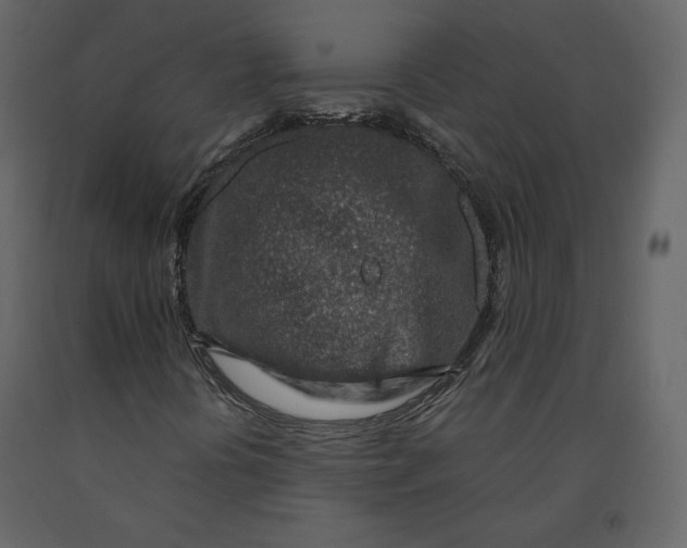 X0000090901394200708270934