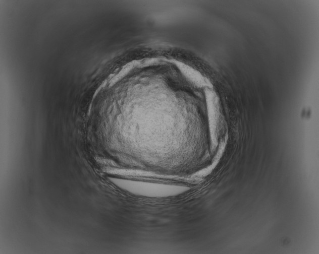 X0000090901397200708270934