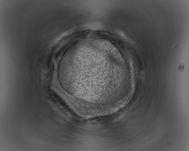 X0000090901398200708270934