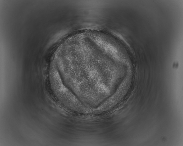 X0000090901399200708270934