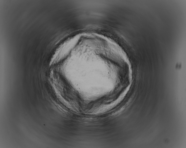 X0000090901401200708270934