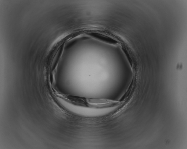 X0000090901402200708270934