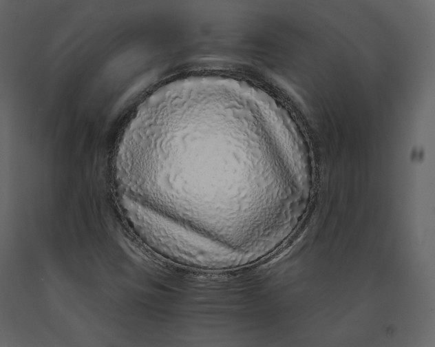 X0000090901403200708270934