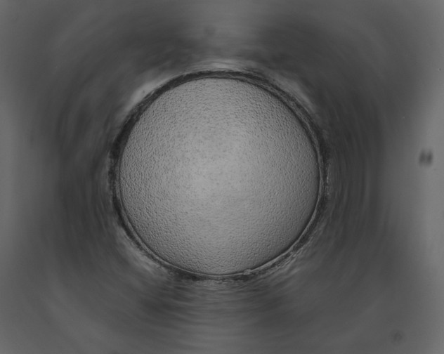 X0000090901404200708270934