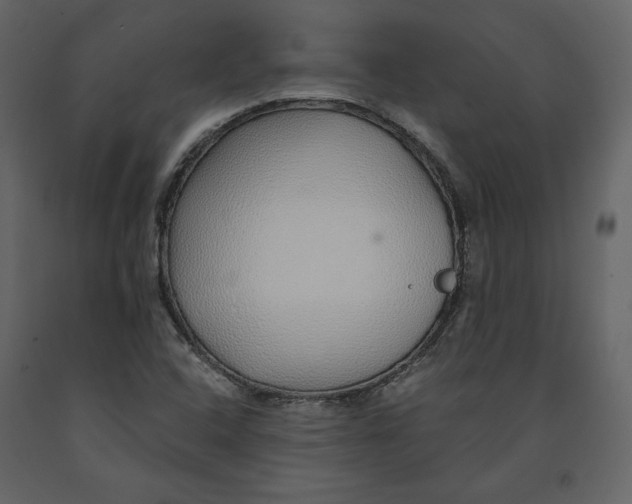 X0000090901408200708270934