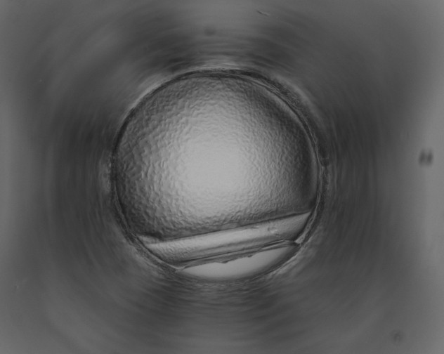 X0000090901409200708270934