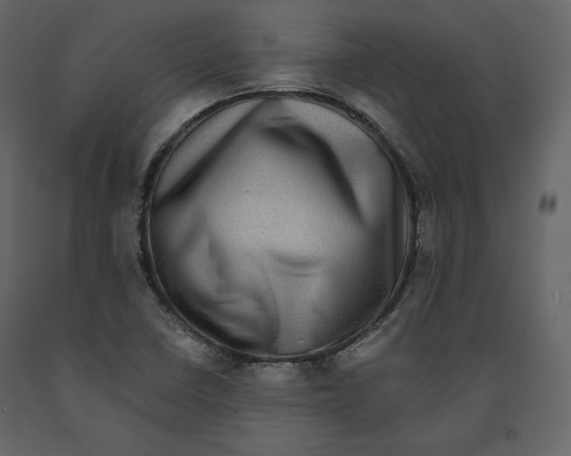 X0000090901410200708270934