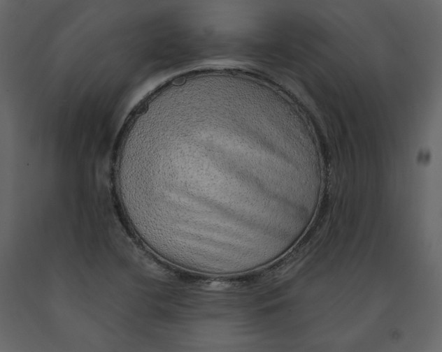 X0000090901412200708270934