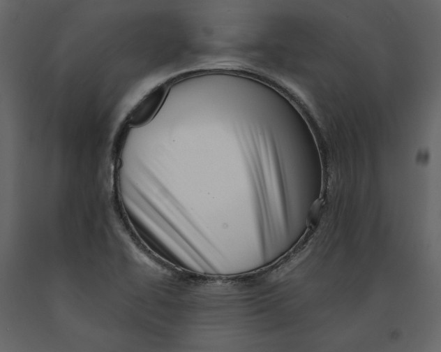 X0000090901414200708270934