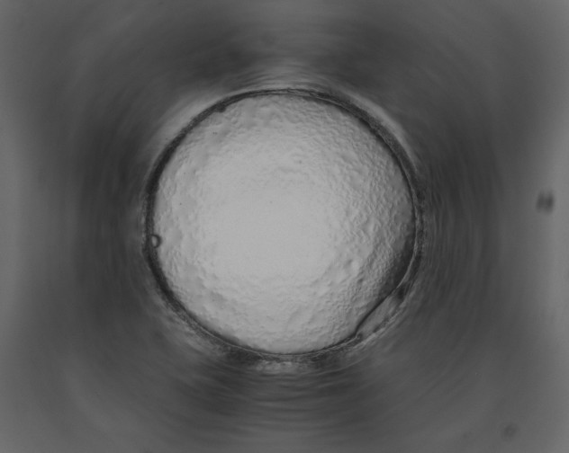 X0000090901415200708270934