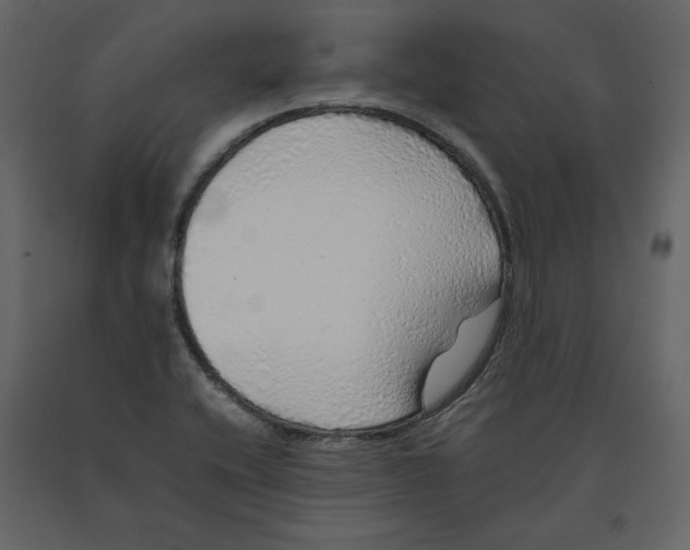 X0000090901416200708270934