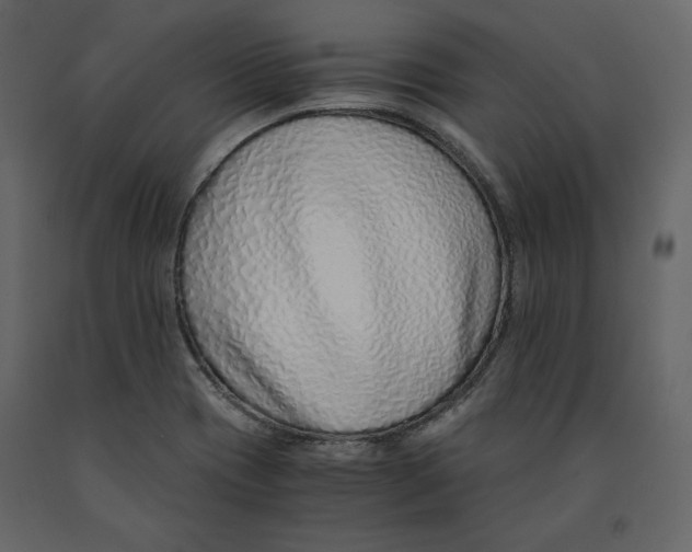 X0000090901417200708270934