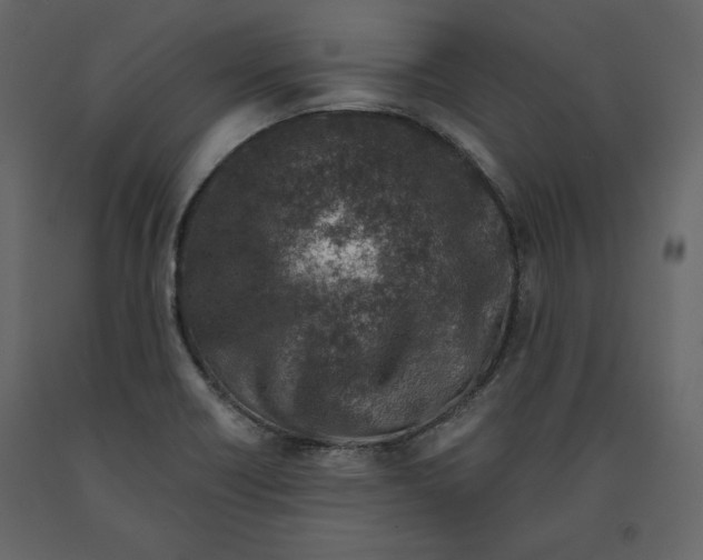 X0000090901418200708270934