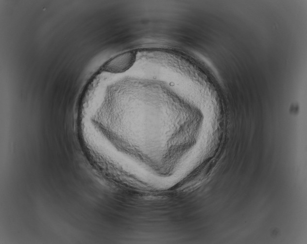 X0000090901419200708270934