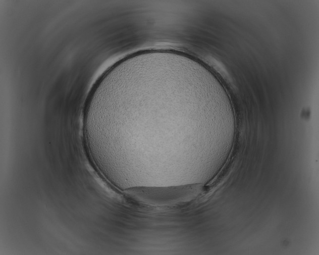 X0000090901420200708270934