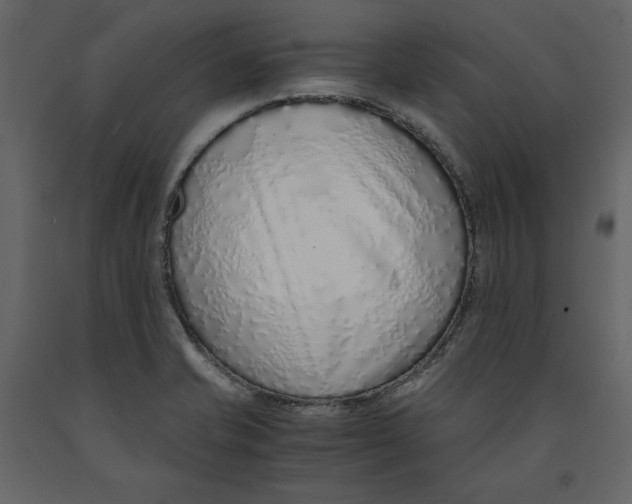 X0000090901421200708270934