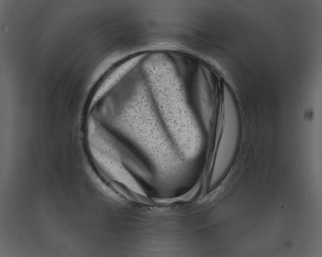 X0000090901422200708270934