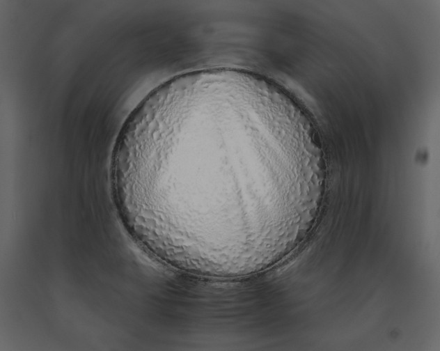 X0000090901423200708270934