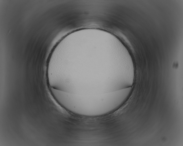 X0000090901424200708270934