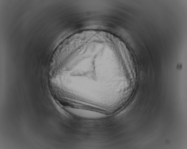 X0000090901425200708270934