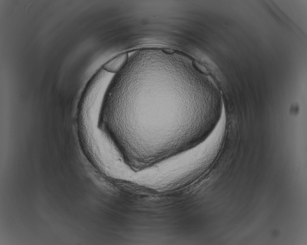 X0000090901427200708270934