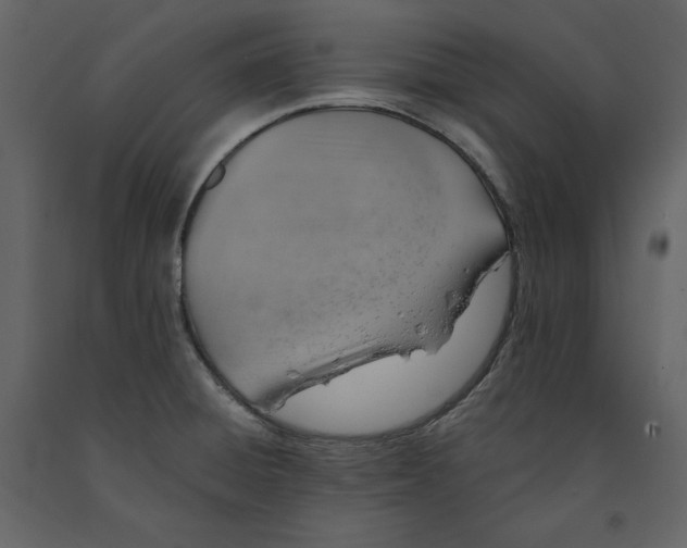 X0000090901428200708270934