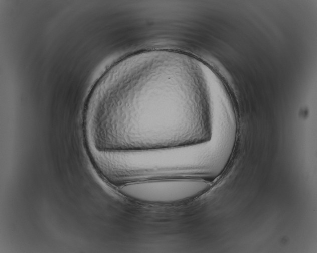 X0000090901429200708270934