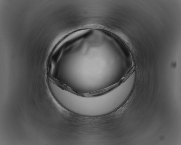 X0000090901430200708270935