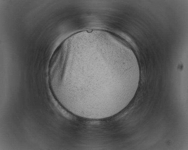 X0000090901431200708270935