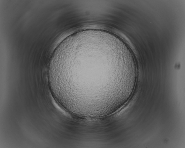 X0000090901433200708270935