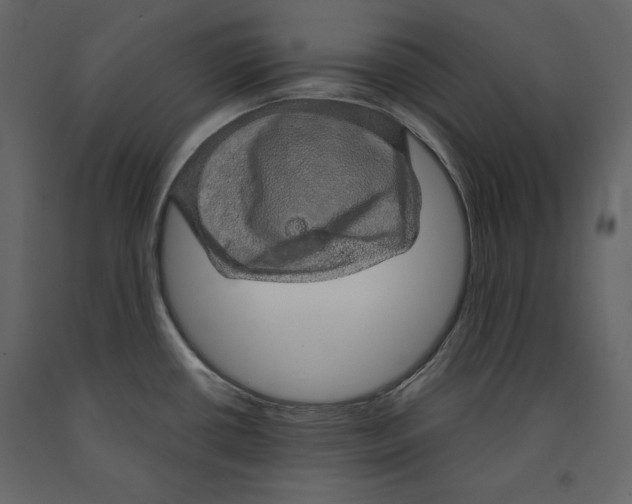 X0000090901434200708270935