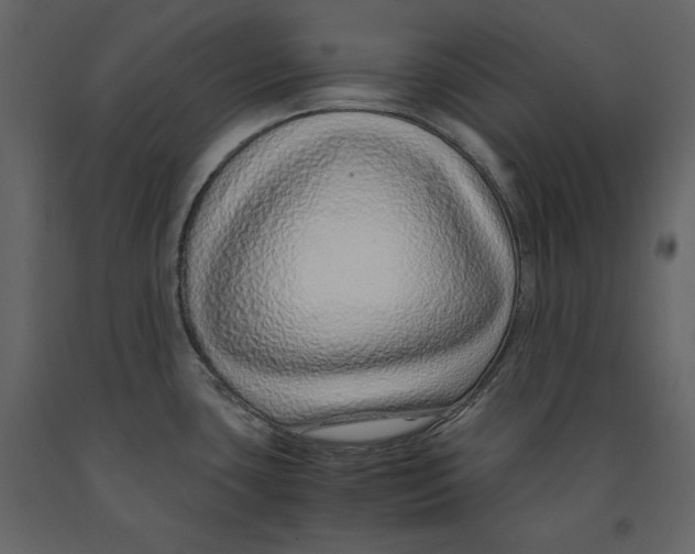 X0000090901435200708270935