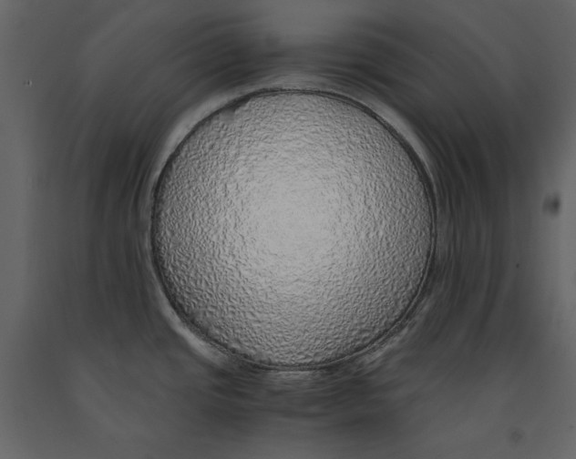 X0000090901437200708270935