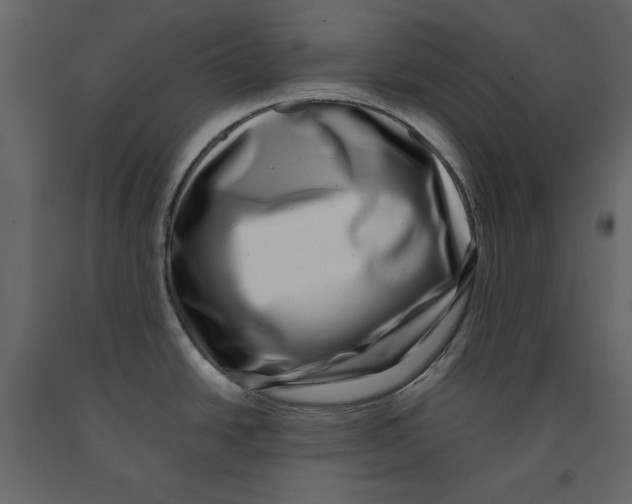 X0000090901438200708270935