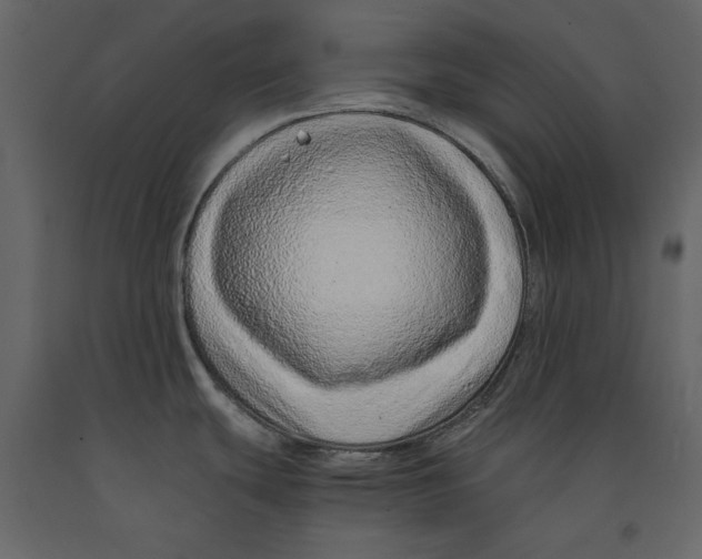 X0000090901439200708270935