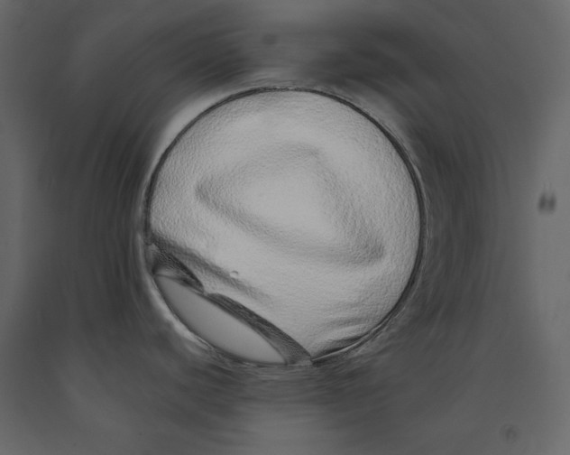 X0000090901440200708270935