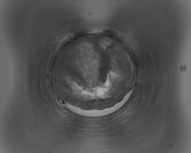 X0000090901441200708270934