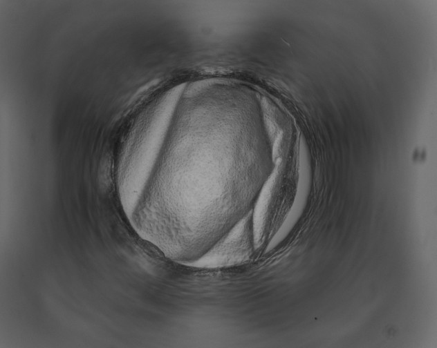 X0000090901444200708270934