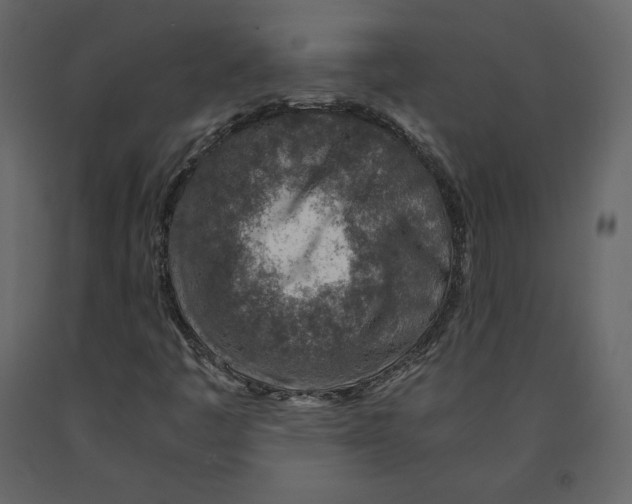 X0000090901445200708270934