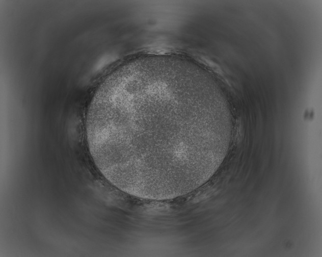 X0000090901446200708270934