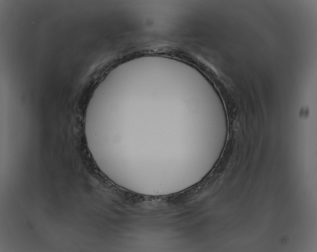 X0000090901447200708270934