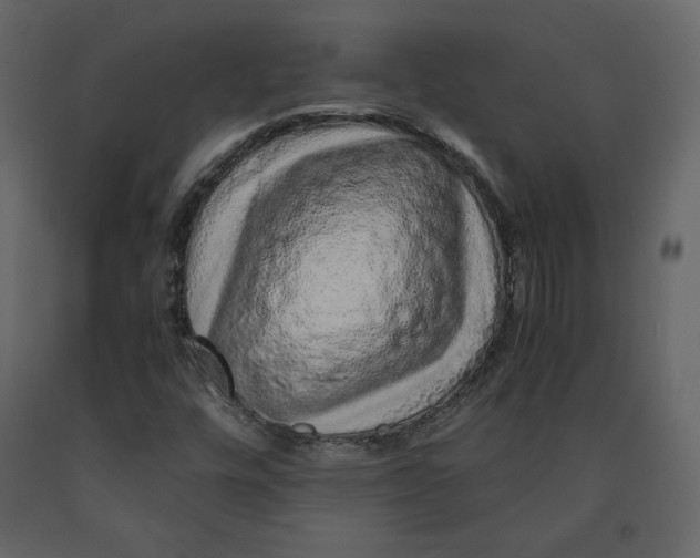 X0000090901448200708270934