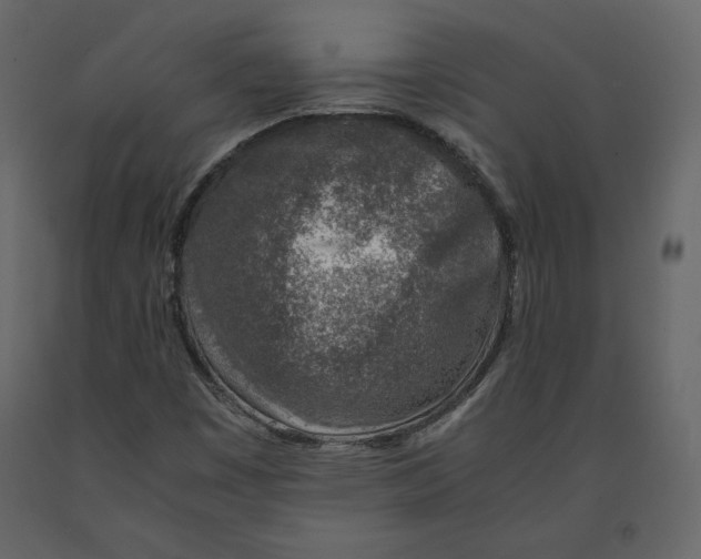 X0000090901449200708270934