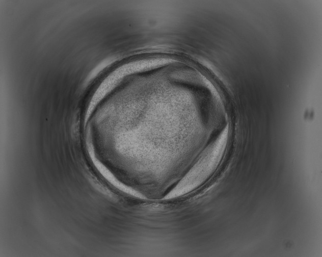 X0000090901450200708270934