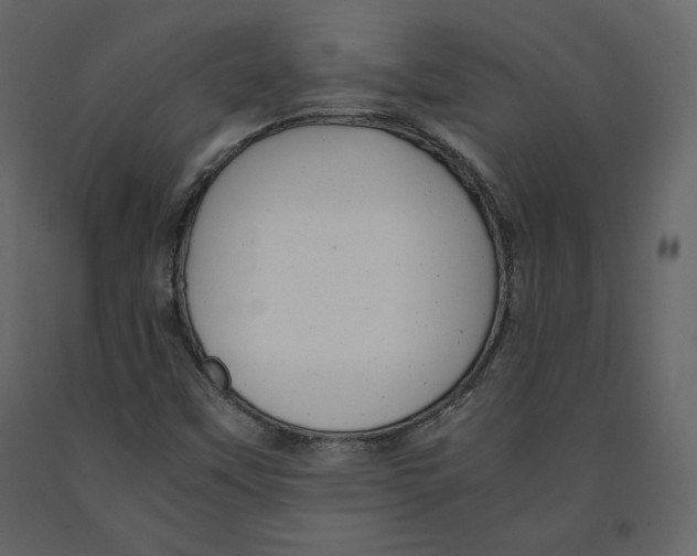 X0000090901451200708270934