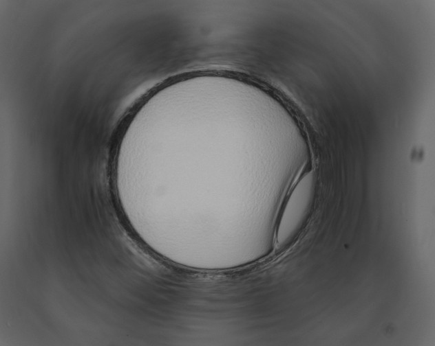 X0000090901452200708270934