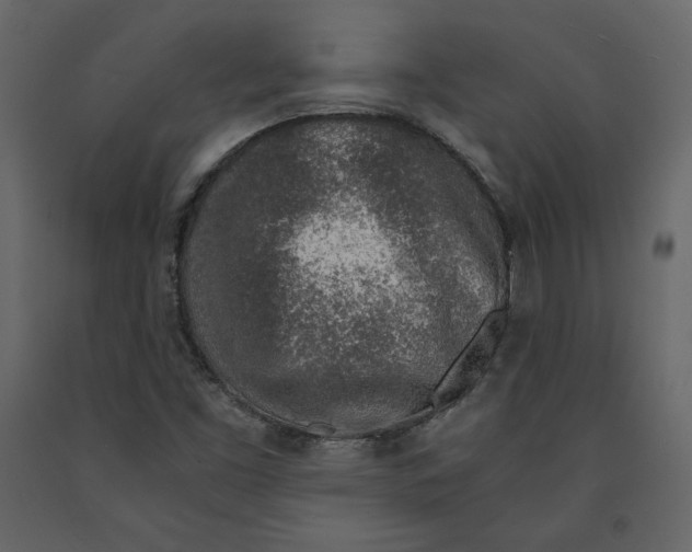 X0000090901453200708270934