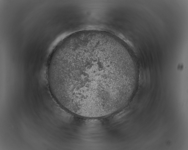 X0000090901454200708270934