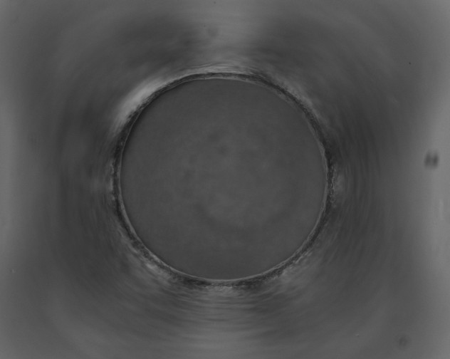 X0000090901455200708270934