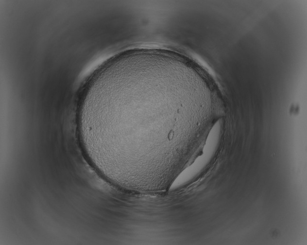 X0000090901456200708270934